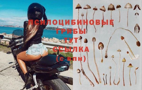 первитин Белоозёрский