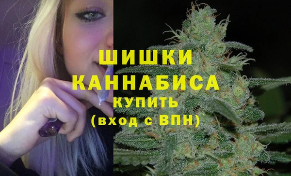 первитин Белоозёрский