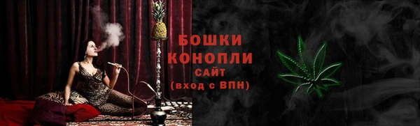 кокс Белокуриха