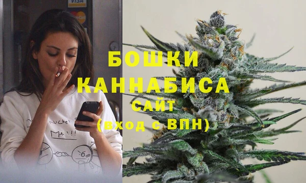 кокс Белокуриха