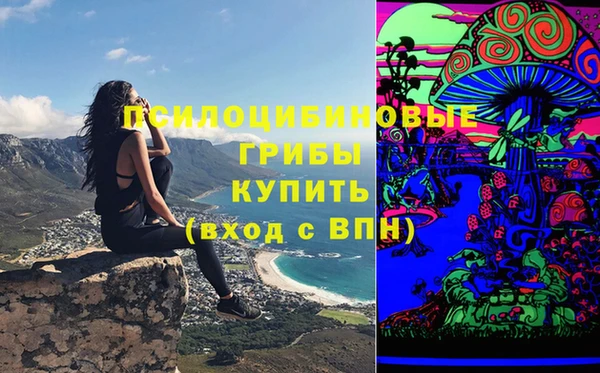 кокс Белокуриха