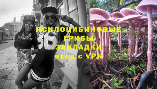 кокс Белокуриха