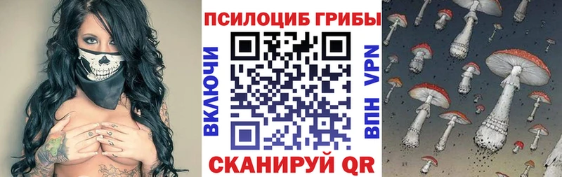 Псилоцибиновые грибы Psilocybine cubensis  площадка формула  Ульяновск 